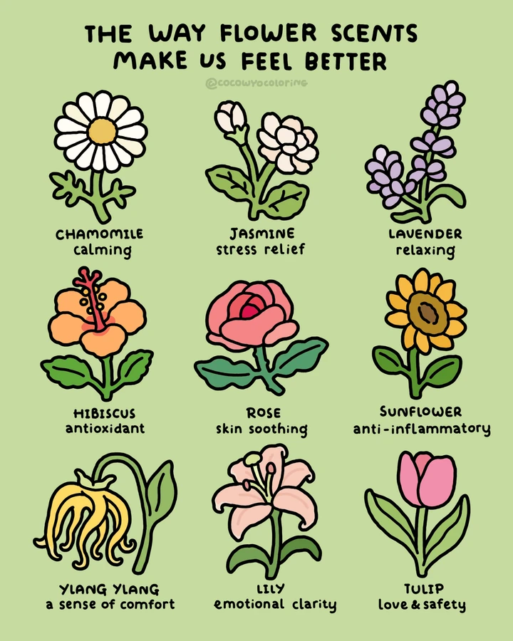 Un obsequio para colorear Coco Wyo con temática floral
